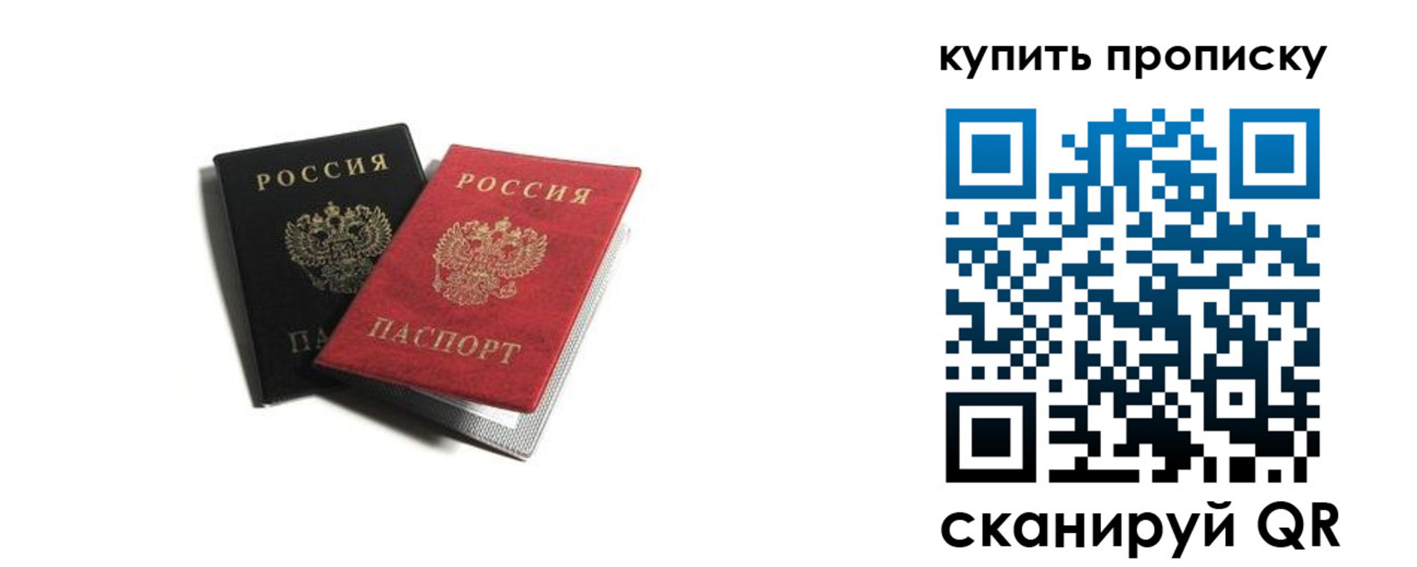 прописка штамп в Гвардейске